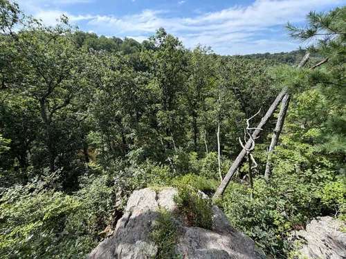 Best forest trails in Rocks State Park | AllTrails