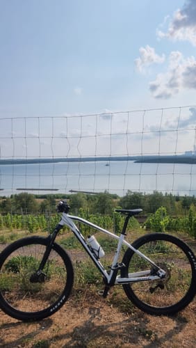 Rund um den Störmthaler See