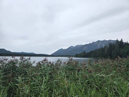 Um den Barmsee