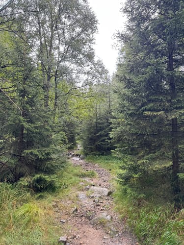 Rund um Torfhaus
