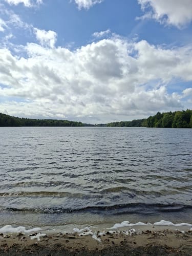 Rund um den Großensee