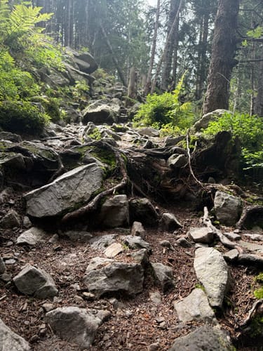 Von Jungholz auf die Reutherwanne und die Alpe Stubental
