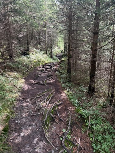 Von Jungholz auf die Reutherwanne und die Alpe Stubental