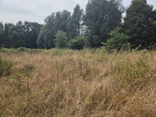 Auf Pfaden durch das Wambachtal