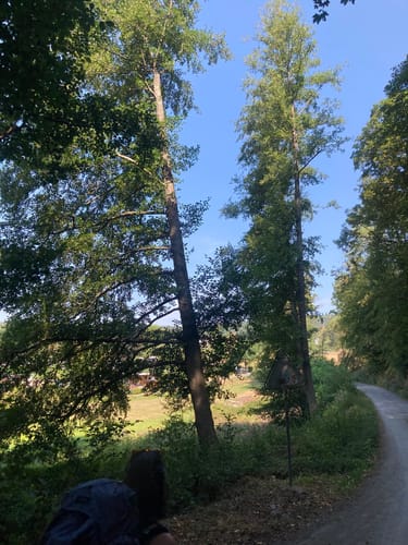 Einruhr, Dedenborn und Weihrauchsberg