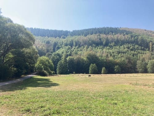 Einruhr, Dedenborn und Weihrauchsberg