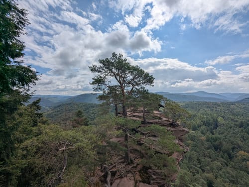Zum Drachenfels und Heidenberg