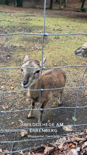 Zum Wildgehege am Ehrenberg und Umgebung