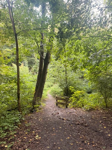 Zum Wildgehege am Ehrenberg und Umgebung