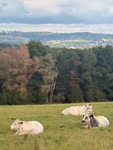 Zum Wildgehege am Ehrenberg und Umgebung