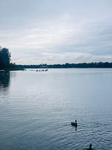 Kulkwitzer See