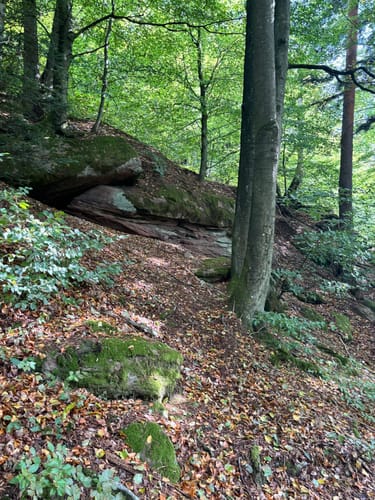 3 Châteaux de Lembach