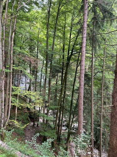 Lainbachfälle via Kohlleite