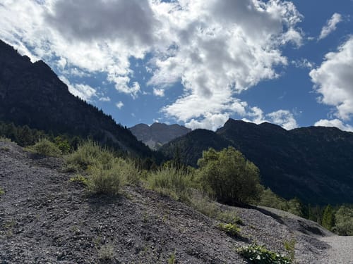Rund um den Plansee