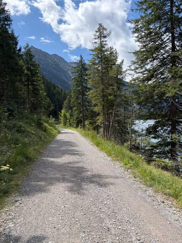 Rund um den Plansee