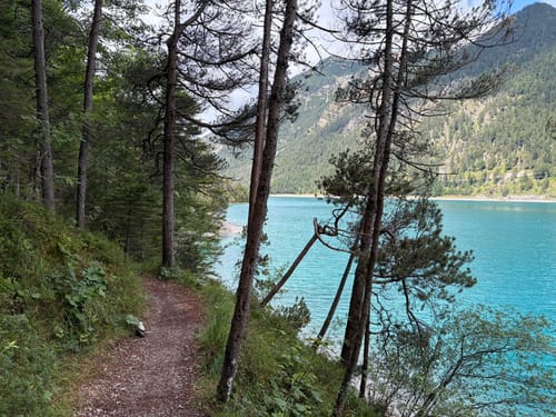 Rund um den Plansee