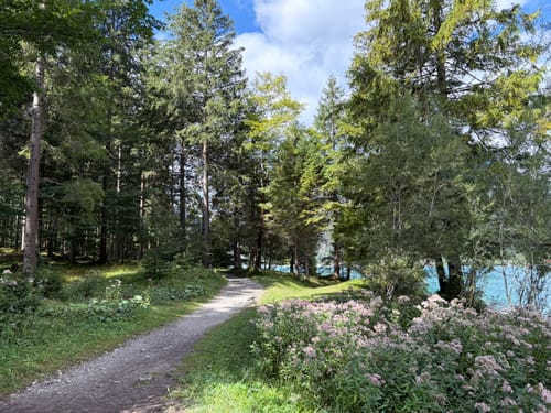 Rund um den Plansee