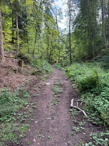 Rundweg: Hirsau - Fuchsklinge