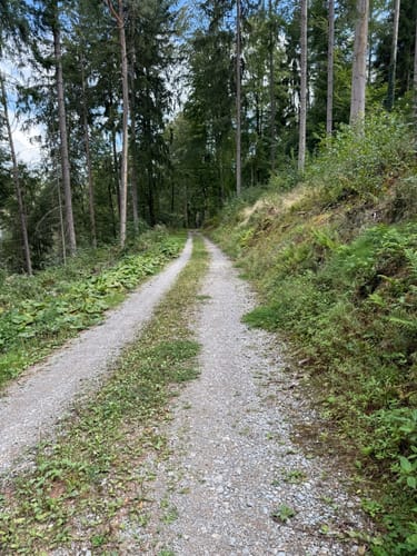 Rundweg: Hirsau - Fuchsklinge