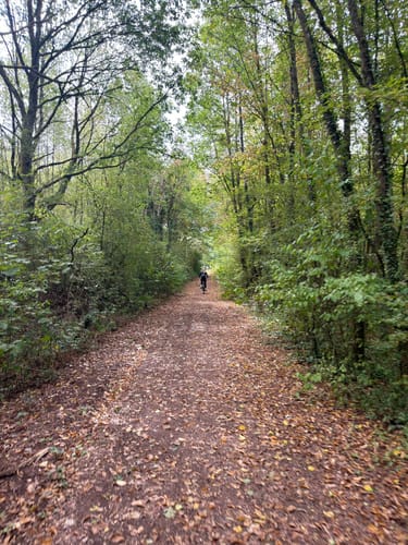 MTB-Tour: Trier - Korlingen - Kernscheid
