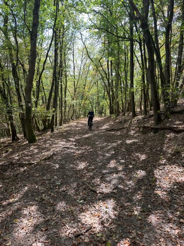 MTB-Tour: Trier - Korlingen - Kernscheid