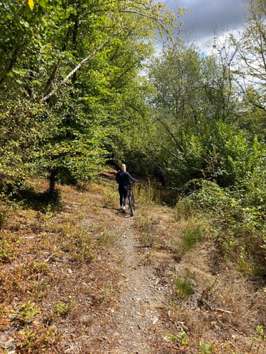 MTB-Tour: Trier - Korlingen - Kernscheid