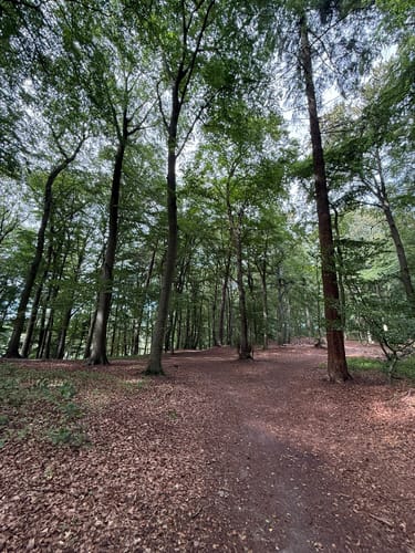 Bad Schwartauer Nordic Walking Route