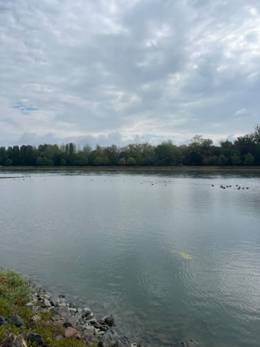 Les Curiosités au Bord des Eaux