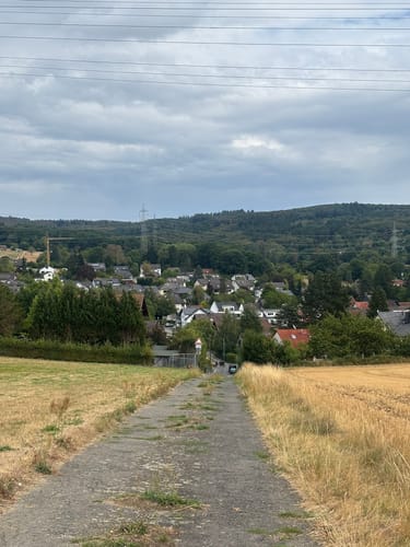 Nordenstäder Wald um Wildsachsen