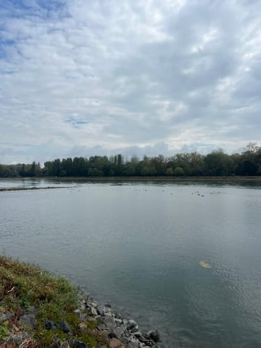 Les Curiosités au Bord des Eaux