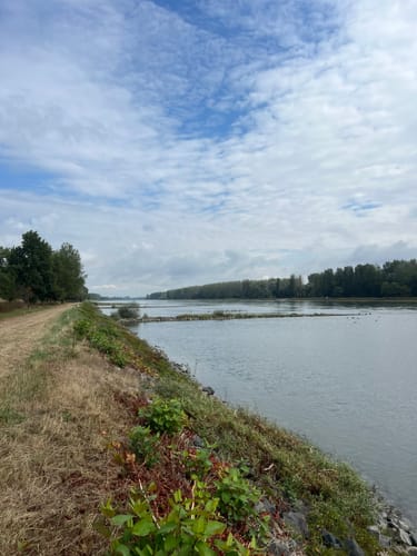 Les Curiosités au Bord des Eaux