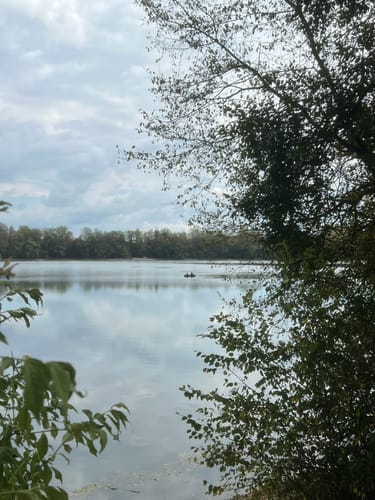 Les Curiosités au Bord des Eaux
