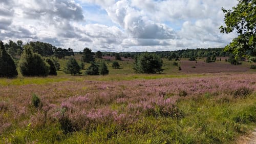 Undeloh Rundweg