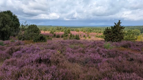 Undeloh Rundweg