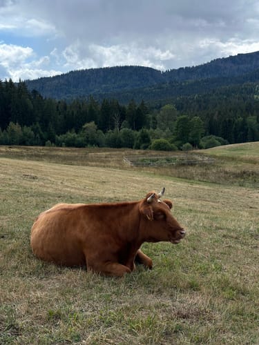 Säbelthomaweg (Genießerpfad)
