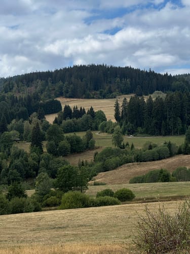 Säbelthomaweg (Genießerpfad)