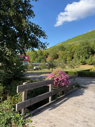 Durbacher Weinpanorama (Premiumwanderweg)