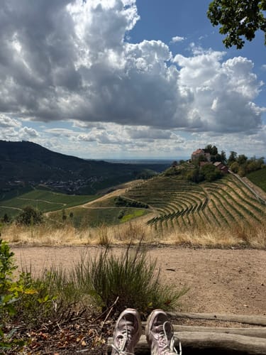 Durbacher Weinpanorama (Premiumwanderweg)