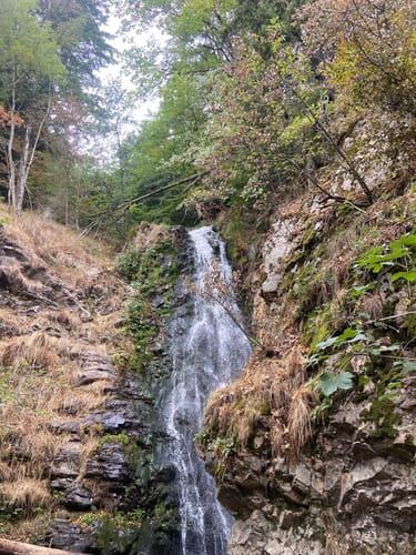 Todtnau Wasserfall Rundweg