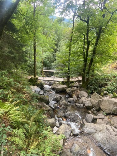 Todtnau Wasserfall Rundweg