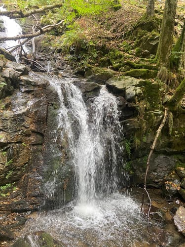 Todtnau Wasserfall Rundweg