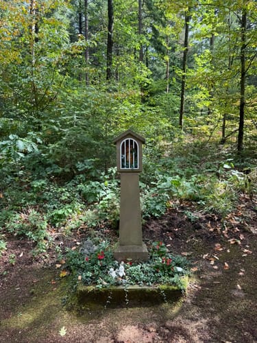 Durbacher Weinpanorama (Premiumwanderweg)