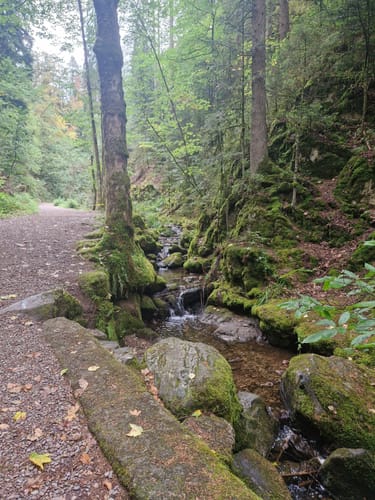 Karlsruher Grat (Genießerpfad)