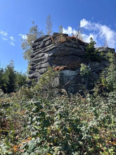 Steinerne Renne - Taufstein