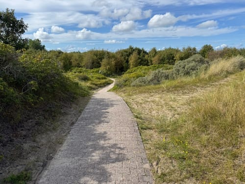 Durch das Borkumer Ostland zum Hoge Hörn