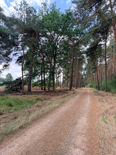 Roermond - Meinweg Fietsroute