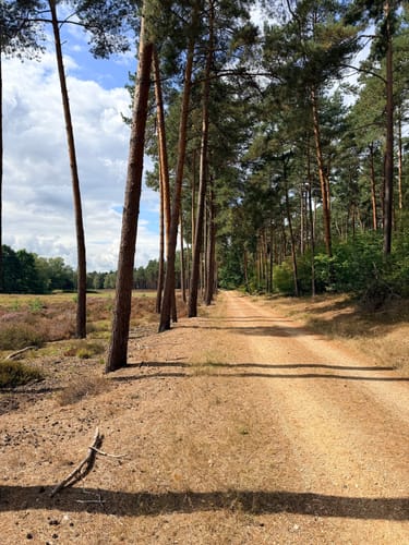 Roermond - Meinweg Fietsroute