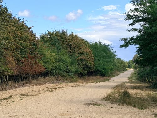 Roermond - Meinweg Fietsroute