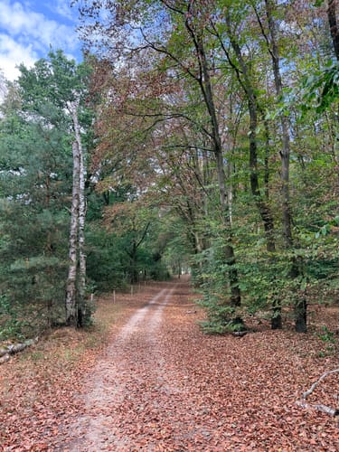 Roermond - Meinweg Fietsroute
