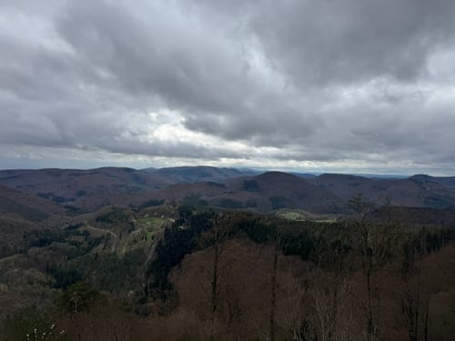 Fleckenstein - Loewenstein - Hohenbourg - Schlossberg